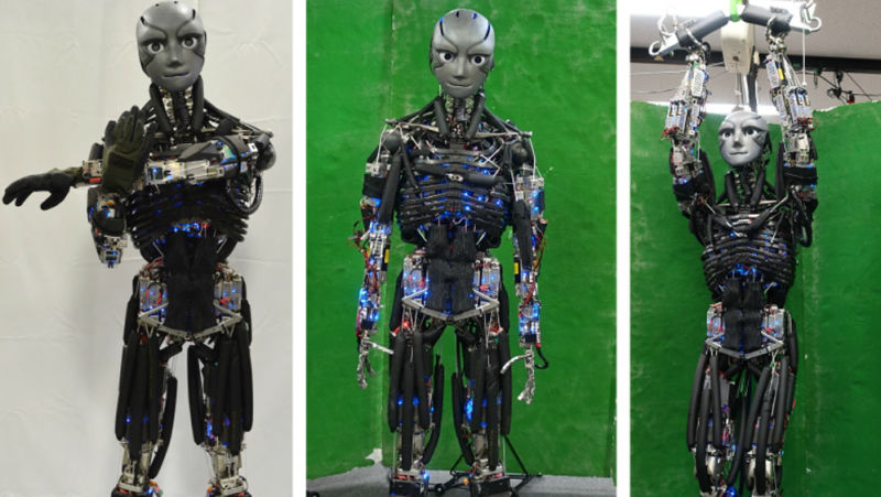credit: https://gizmodo.com/japanese-scientists-made-a-sweating-robot-that-can-fina-1821584469