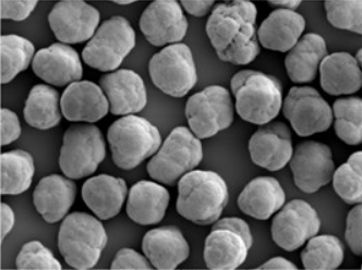PA12 S microscopic view