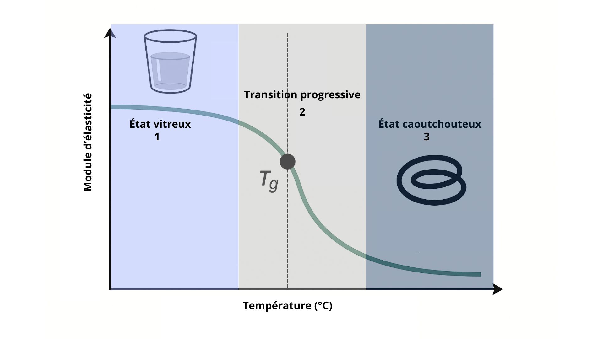 Courbe température de transition vitreuse