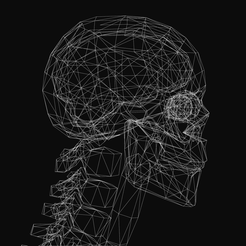 stl mesh anatomical model triangles